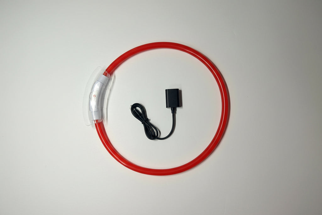 Collier lumineux rouge pour chien - rechargeable USB - Taille adaptable