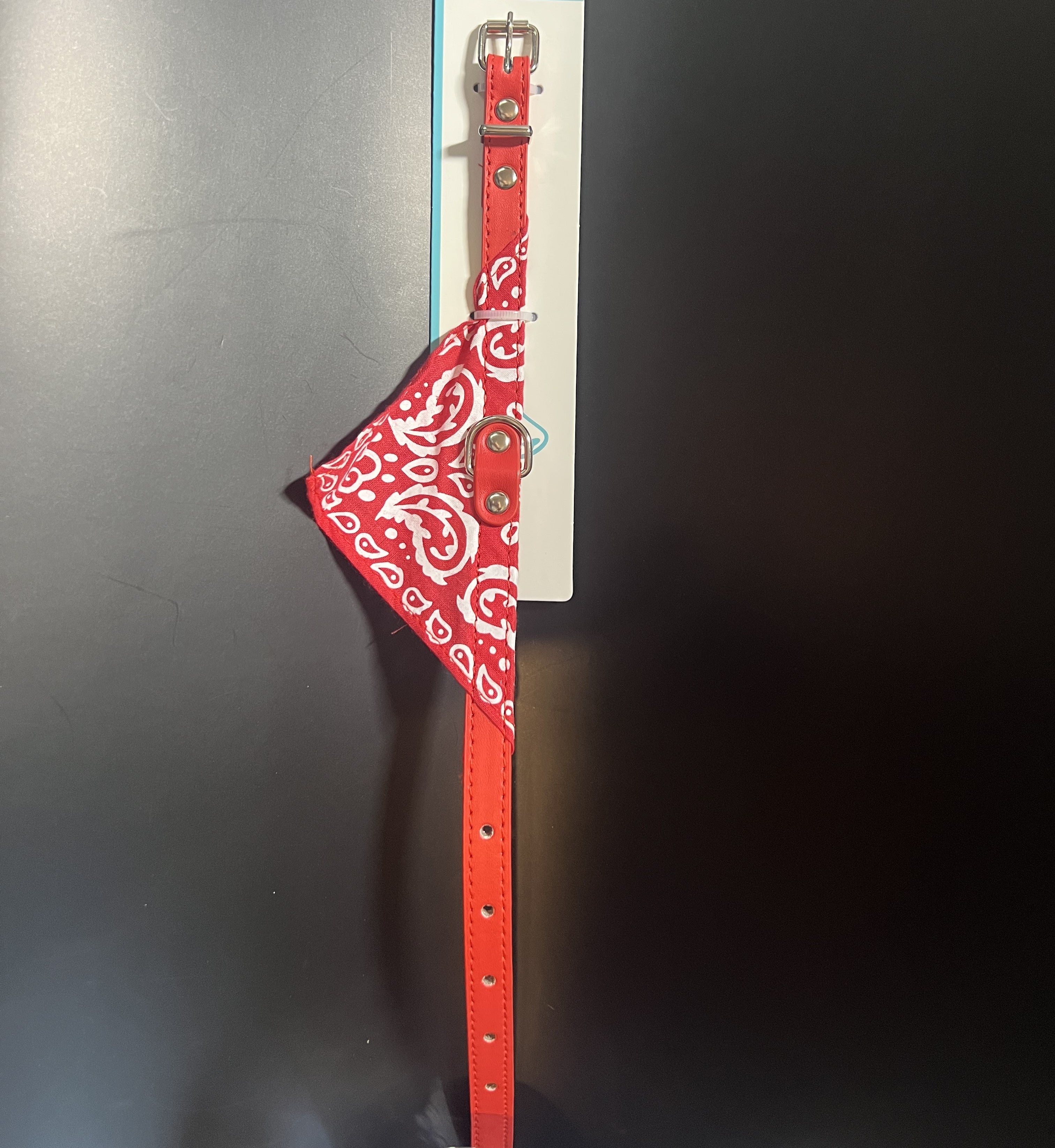 BANDANA - Collier chien